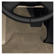 Carpet / Upholstery